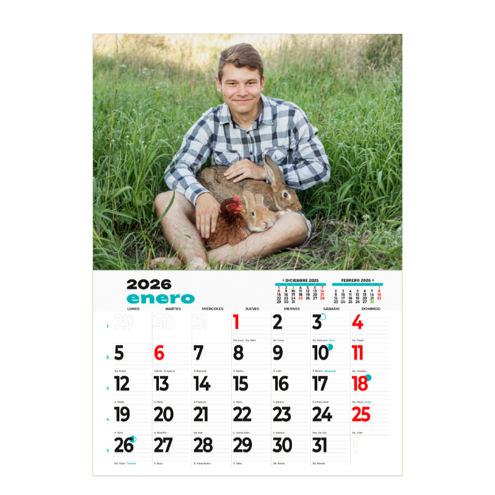 Calendario pared faldilla horizontal XL - Imagen 2